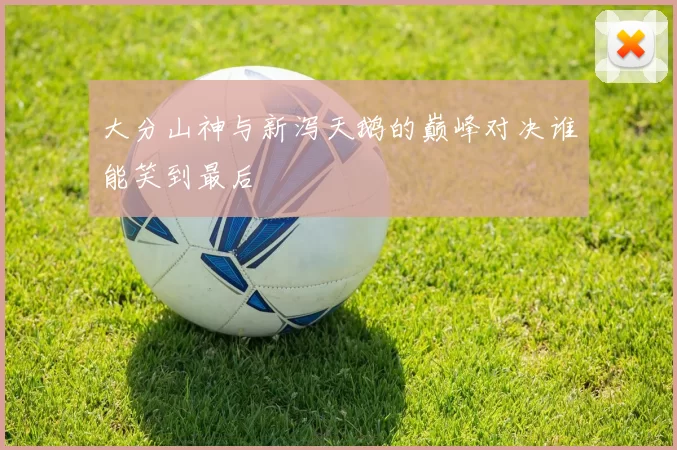 大分山神与新泻天鹅的巅峰对决谁能笑到最后